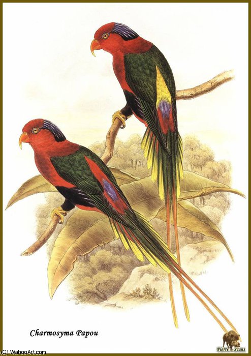 Lori Papou — John Gould