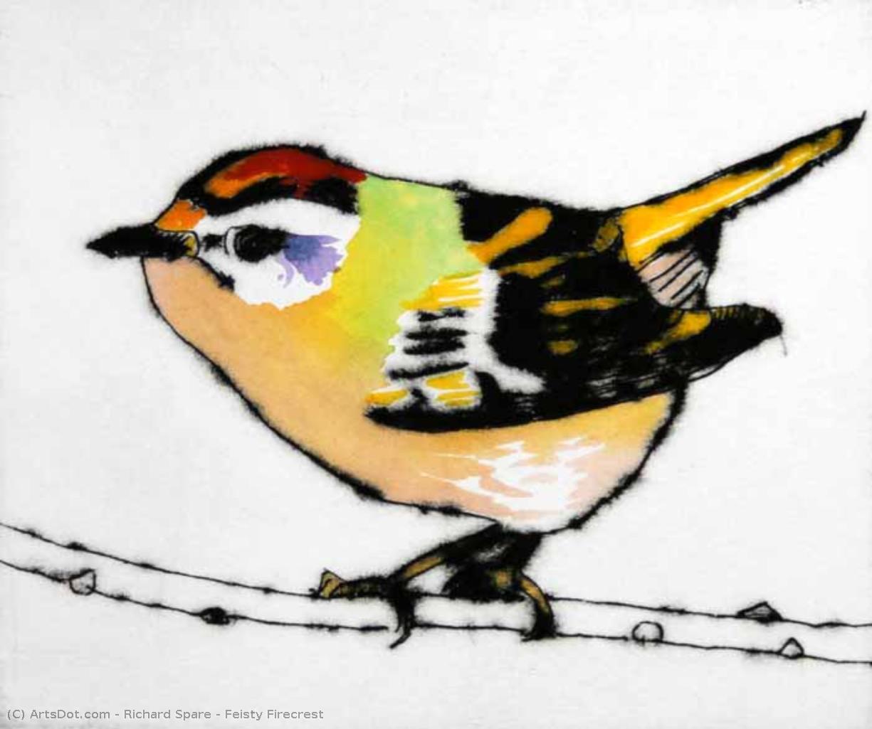 Feisty Firecrest — Richard John Spare