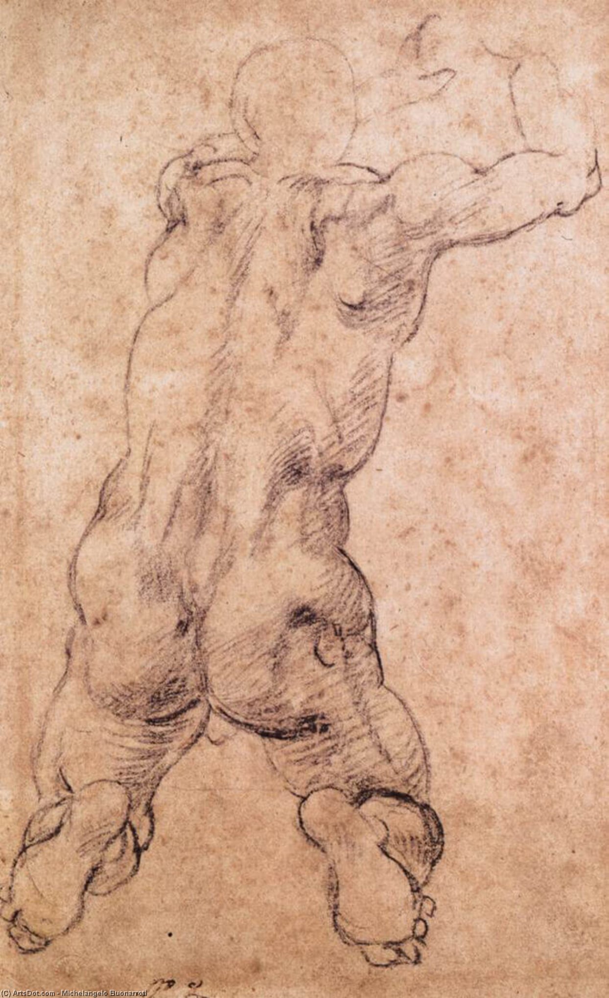 Kneeling Male Nude — Michelangelo Buonarroti