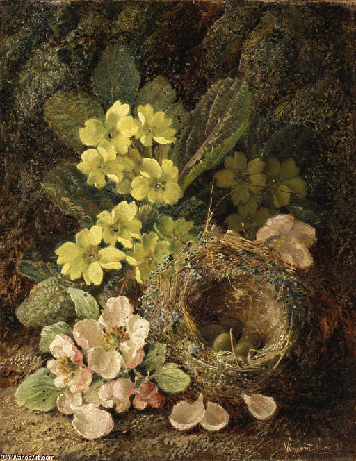 Primroses And Bird's Nest On A Mossy Bank — Vincent Clare
