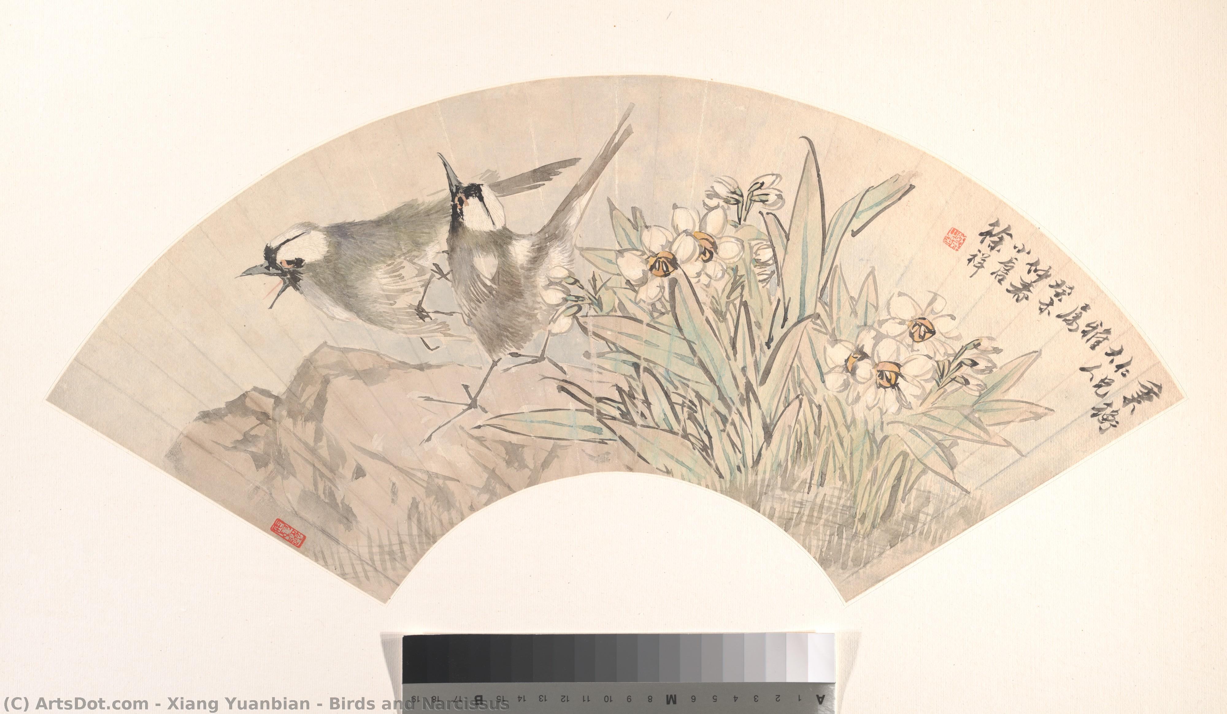 Birds And Narcissus — Xiang Yuanbian