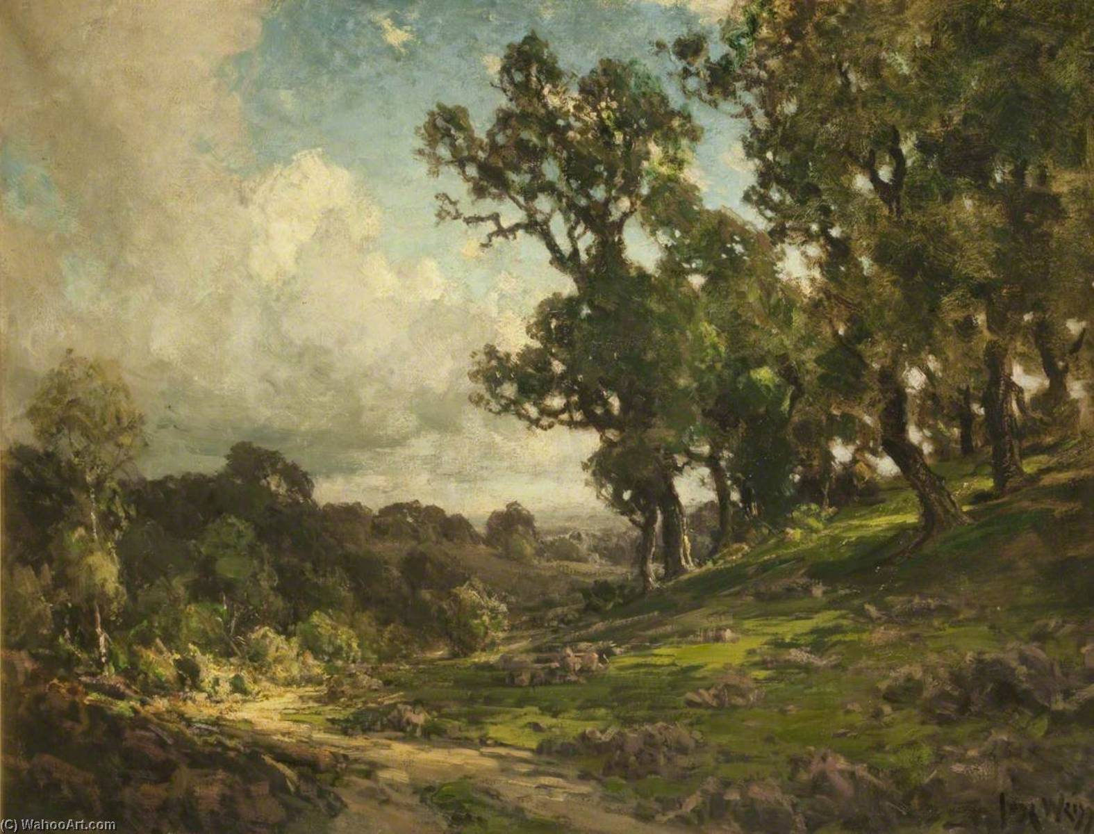 Arundel Park — José Weiss