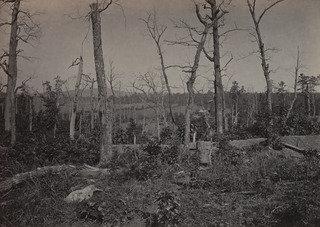 The Battle Ground Of Resaca, No. 3 From The Album Photographic Views Of Sherman's Campaign — George Grey Barnard