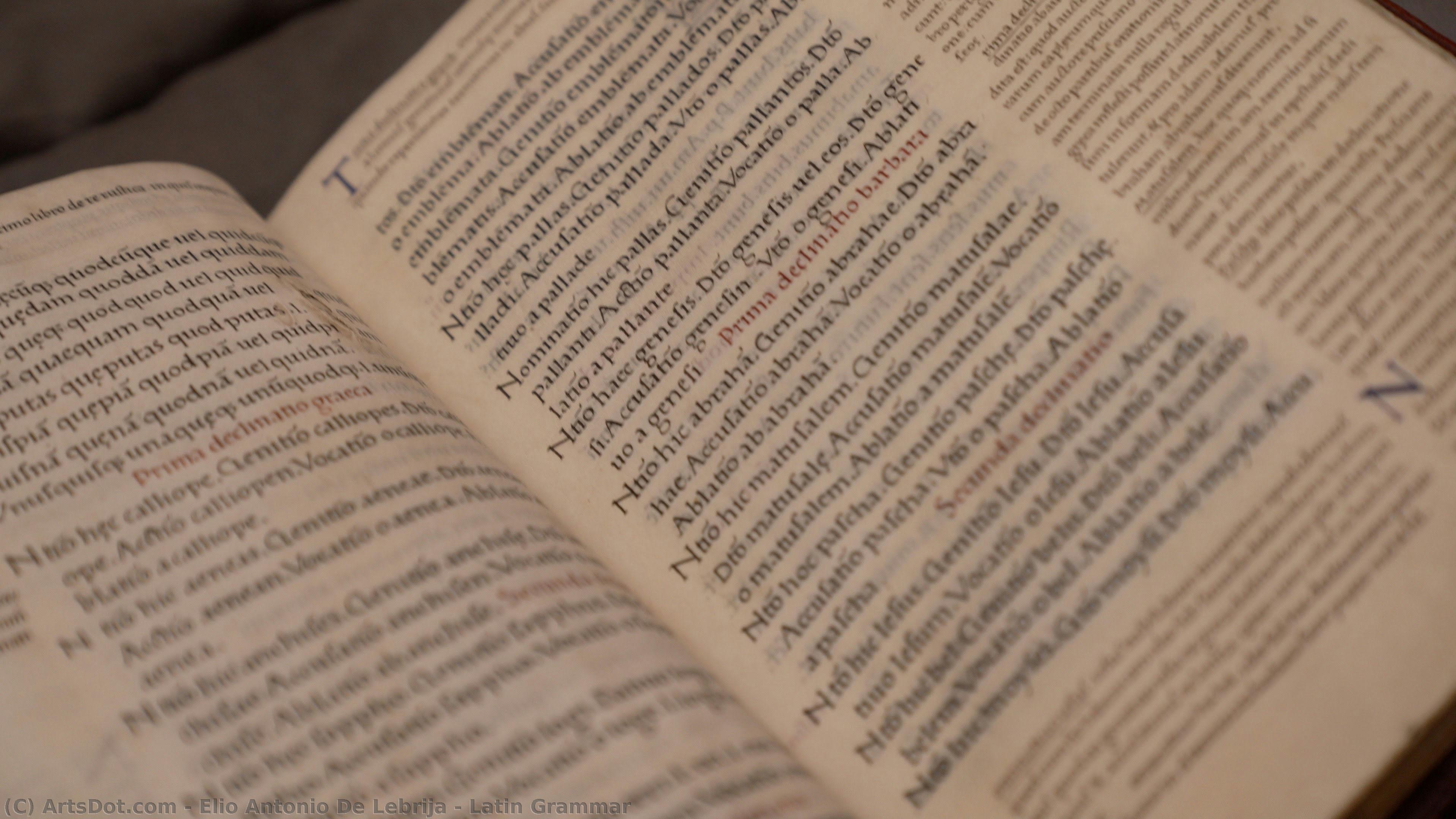 Latin Grammar — Elio Antonio De Lebrija