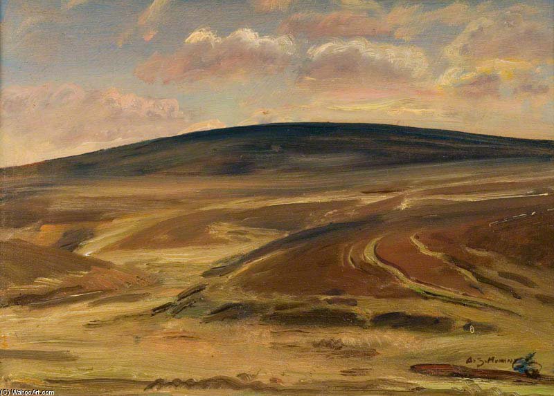 A View On Exmoor - — Маннингс