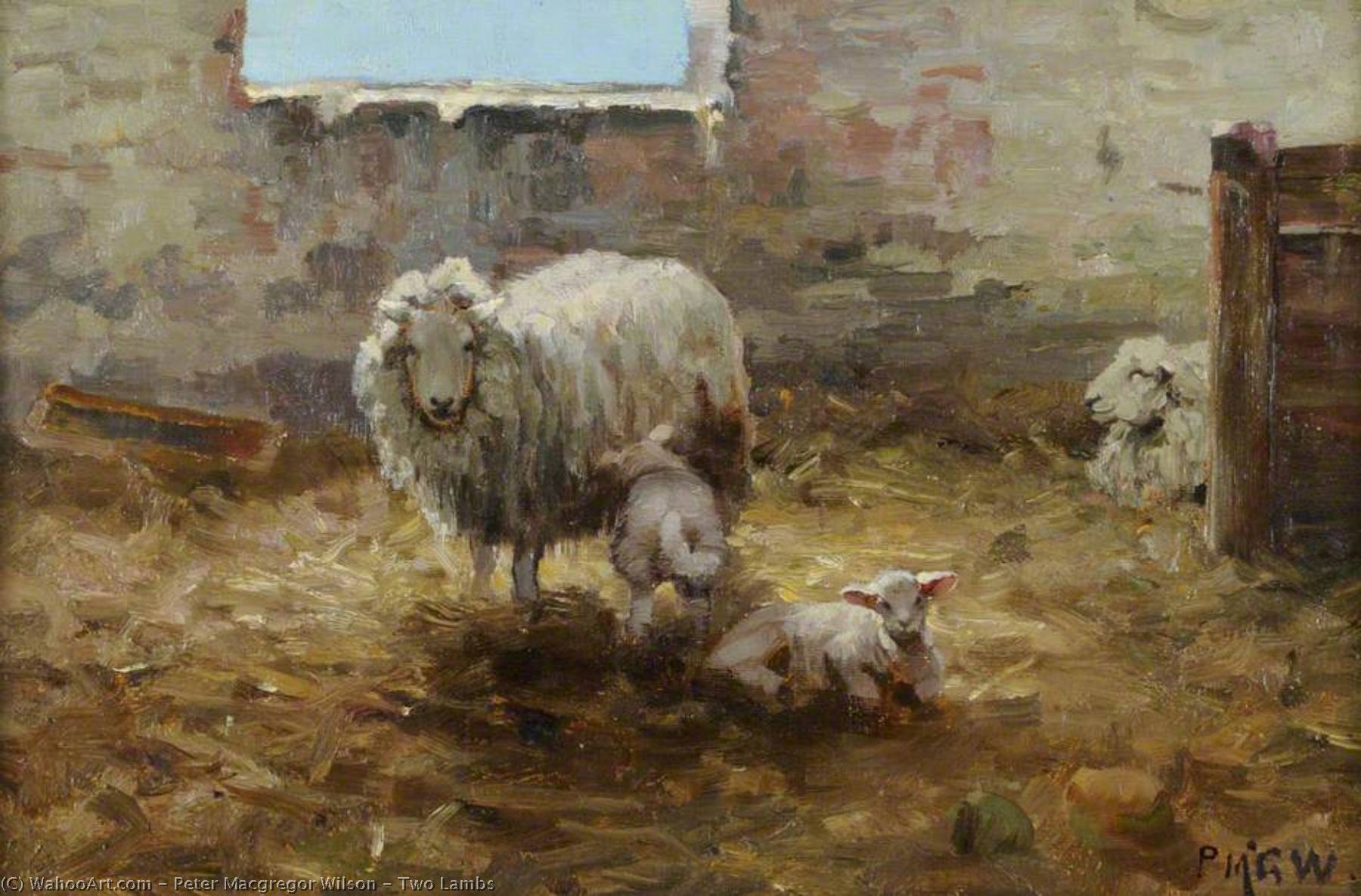 Two Lambs — Peter Macgregor Wilson