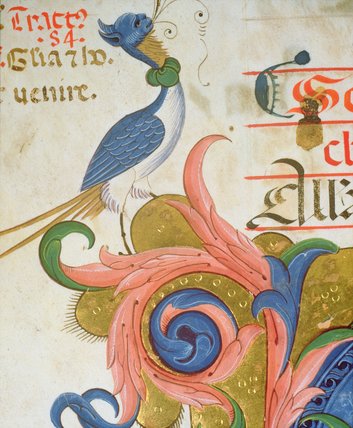 Fantastical Bird With Human Head Standing — Matteo Di Filippo Torelli