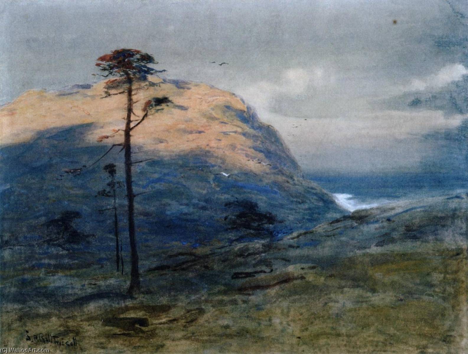 Evening, White Head, Monhegan Island — Samuel P. R Triscott