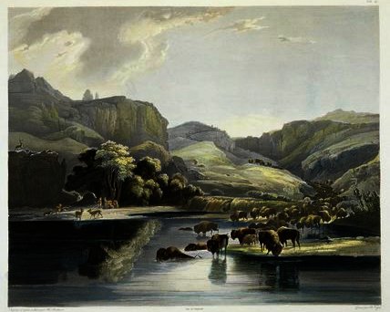 Herds Of Bison And Elk On The Upper Missouri — Карл Бодмер