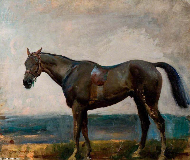 A Dark Bay Hunter — Алфред Џејмс Менингс