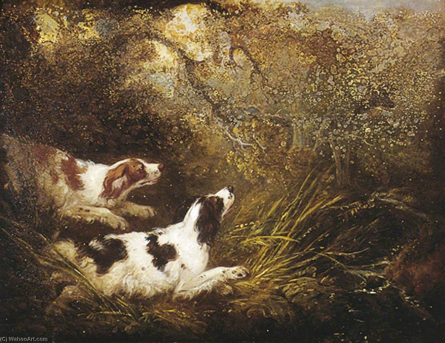 Dogs — Charles Henry Schwanfelder