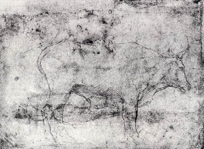 Study Of A Bull — Cesare Da Sesto
