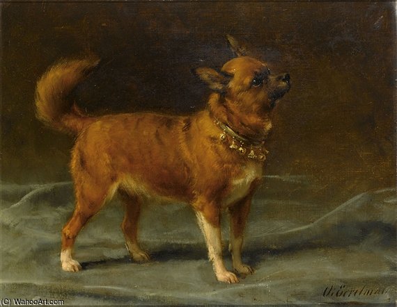 A Pincher — Oto Erelman