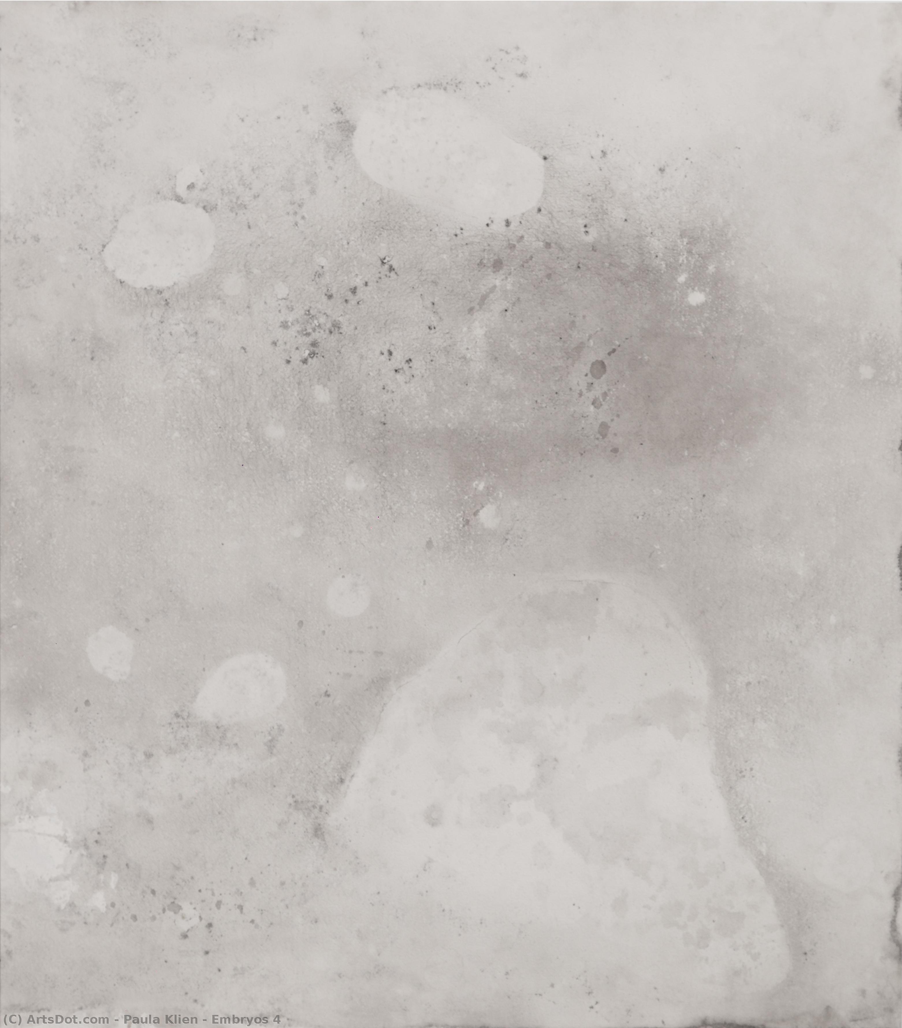 Embryos 4 — Paula Klien