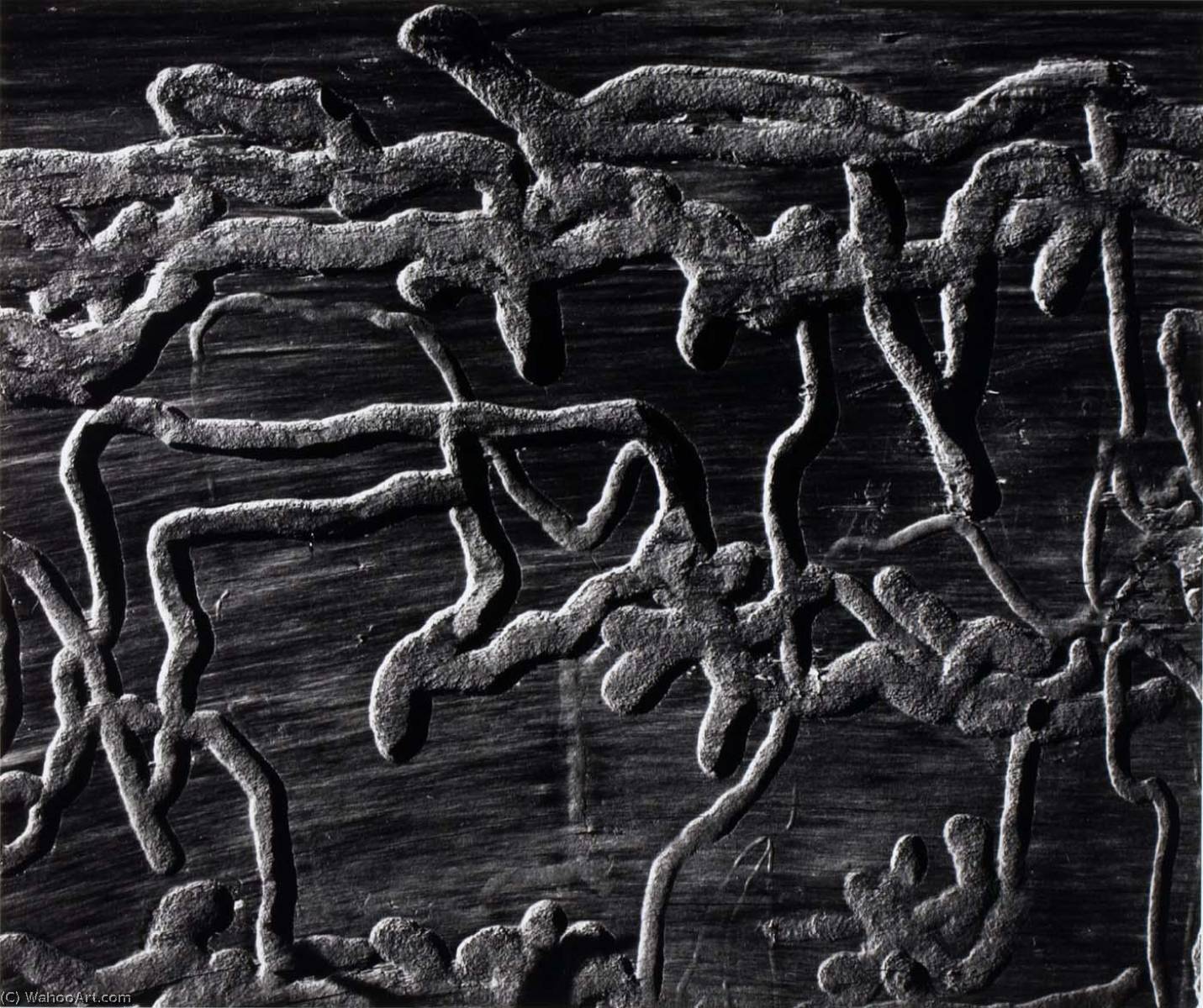 Untitled (wormwood) — Bret Weston