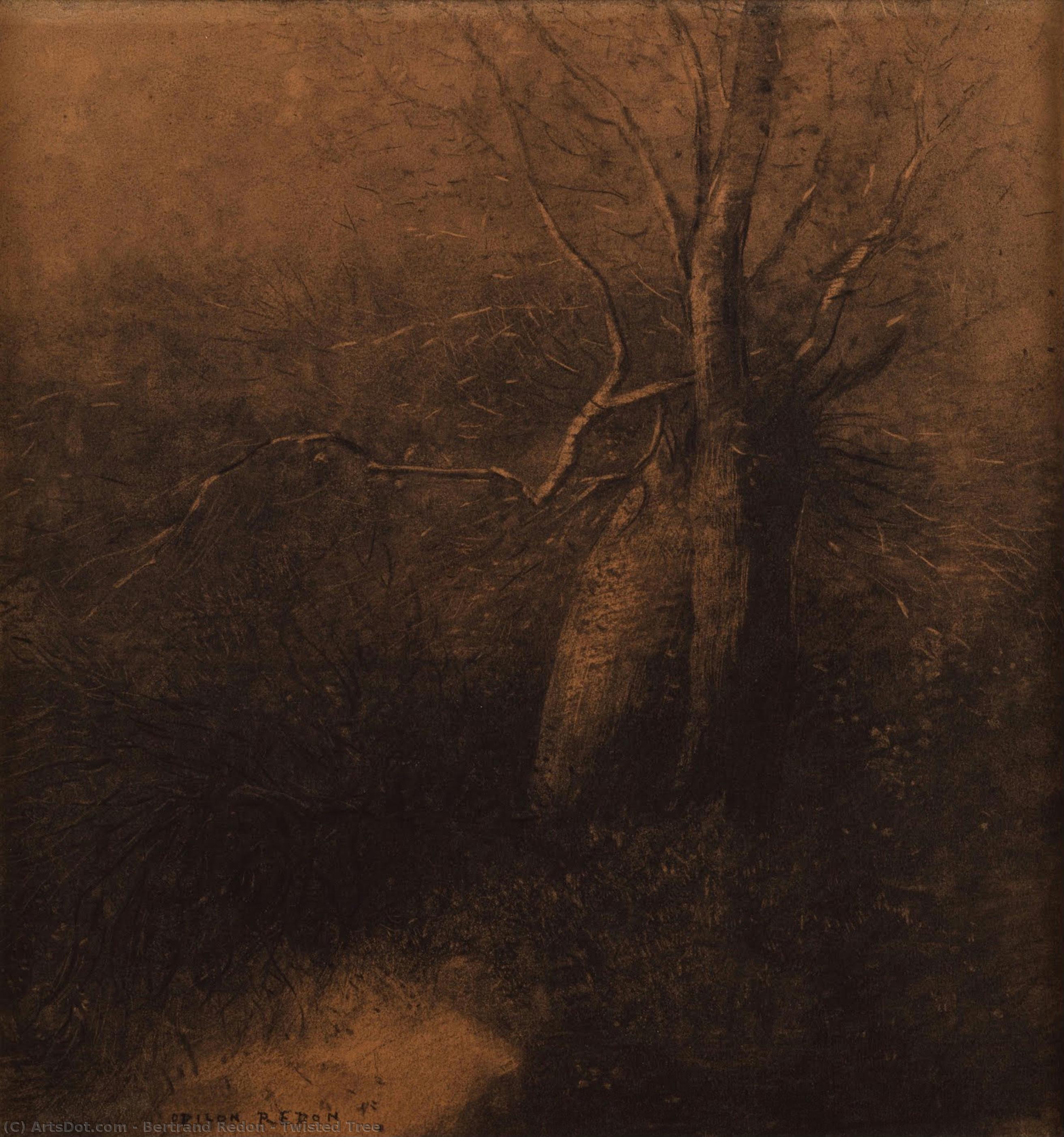 Twisted Tree — Bertrand Redon