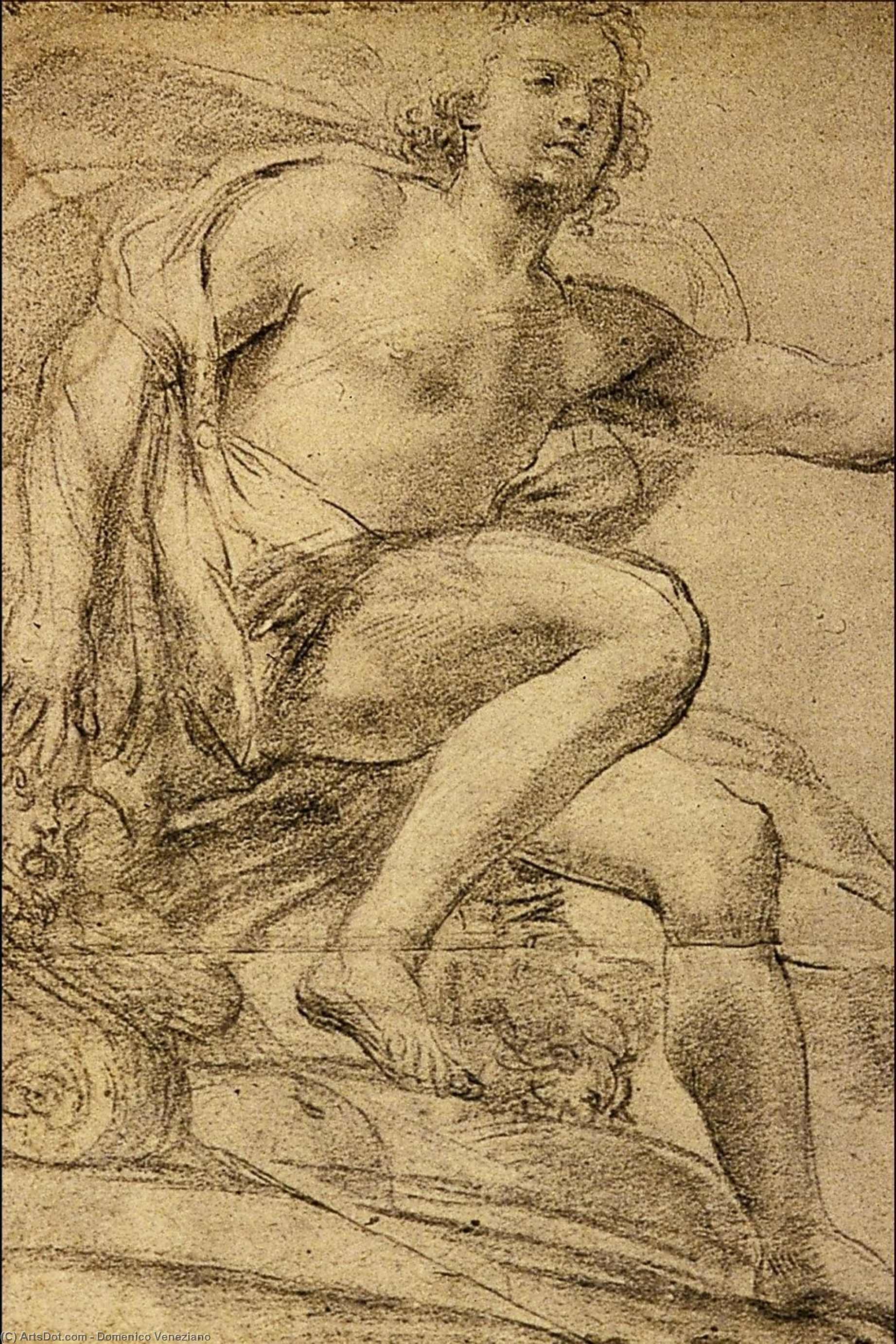 Study Of Apollo — Domeniko Veneziano