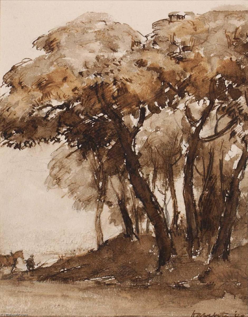 Pins Parasols, Ile De Noirmoutier, Bois De La Cheze — Herman Armour Webster