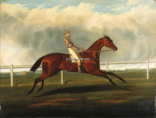 A Bay Racehorse With Jockey Up In The Colours Of Mr Richard Watt, On A Racecourse — David Of York Dalby