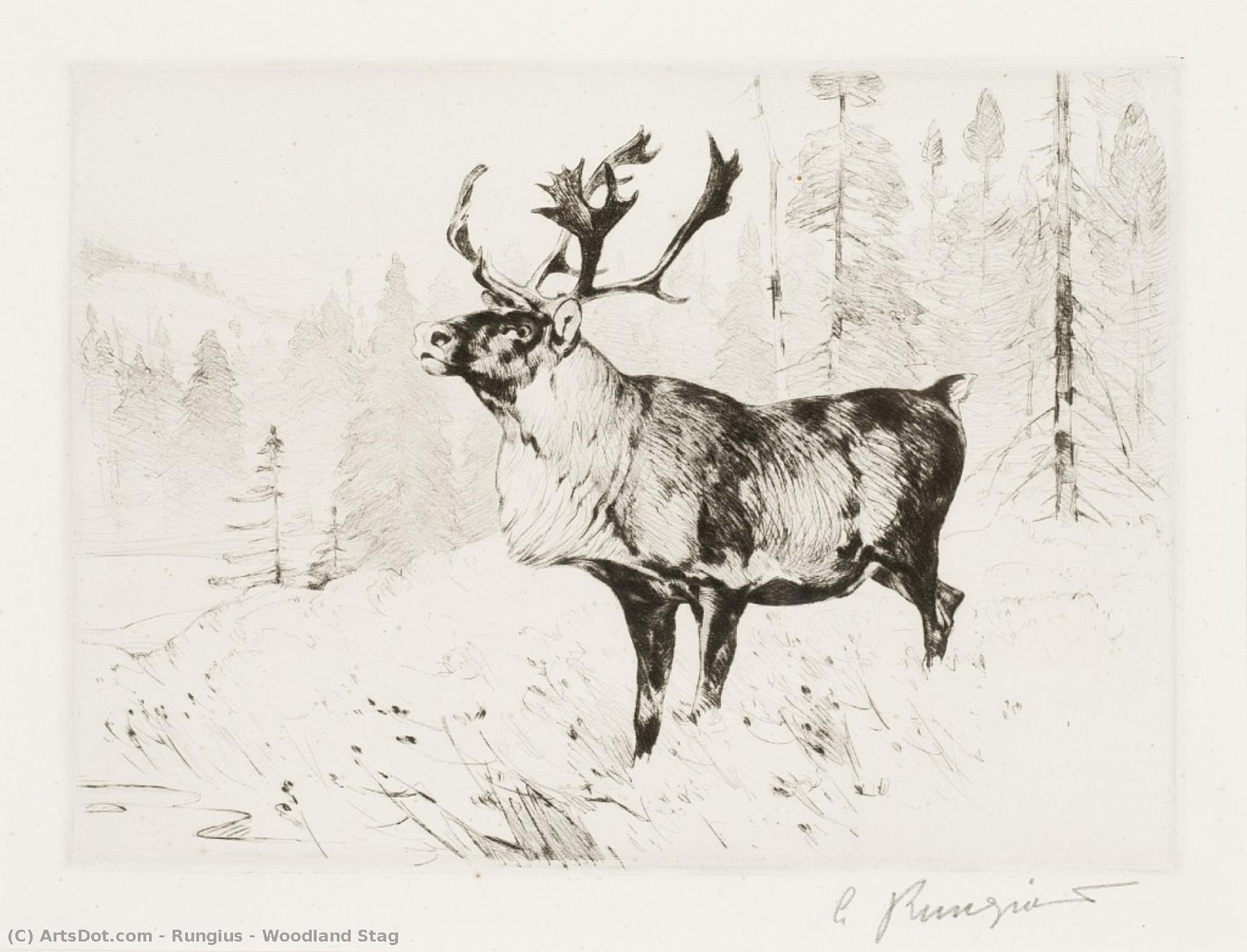 Woodland Stag — Carl Clemens Moritz Rungius