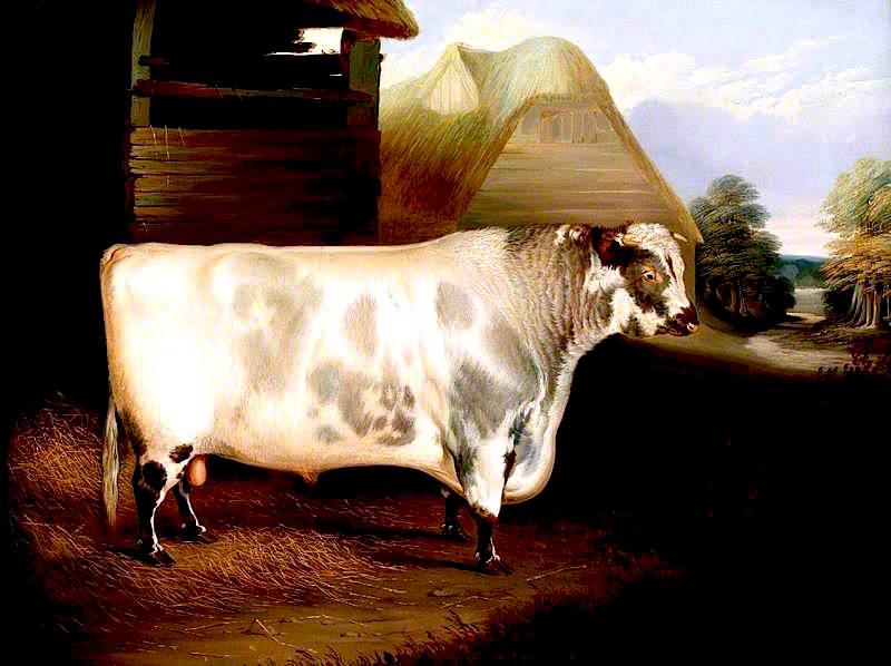 'duke Of Northumberland' — John Dalby