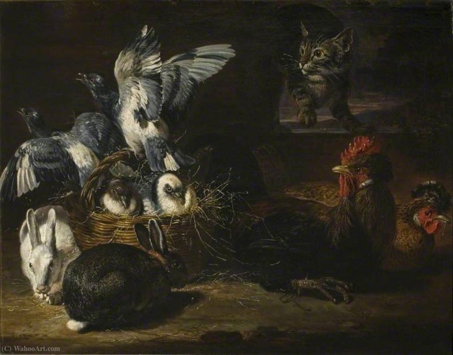 Poultry And Cat — David De Coninck