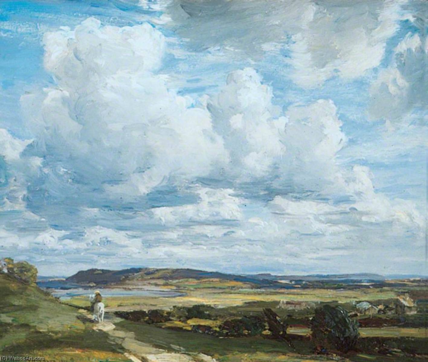 Cloud Shadows — Arthur A Friedenson