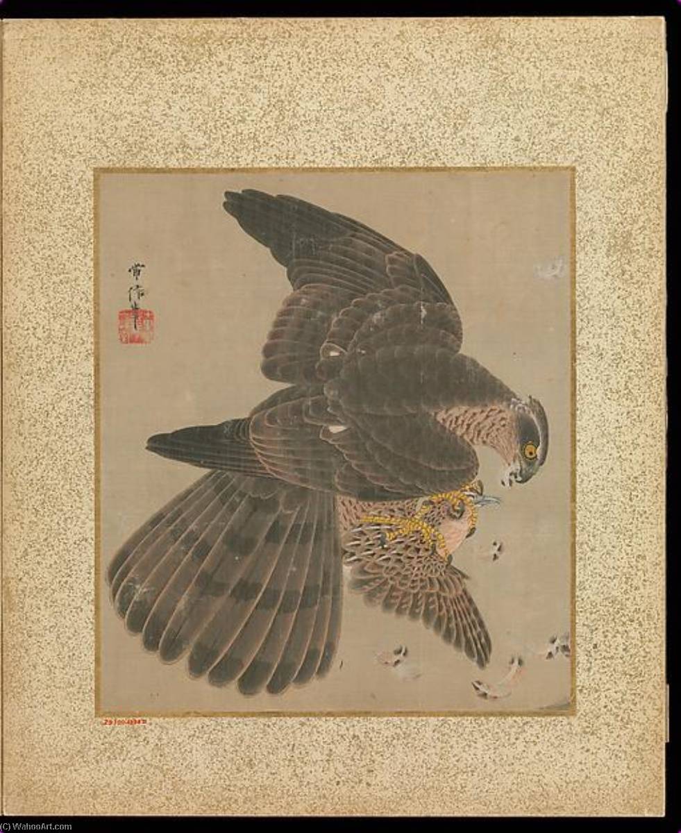 十鷹書画冊 Album Of Hawks And Calligraphy — Kano Tsunenobu