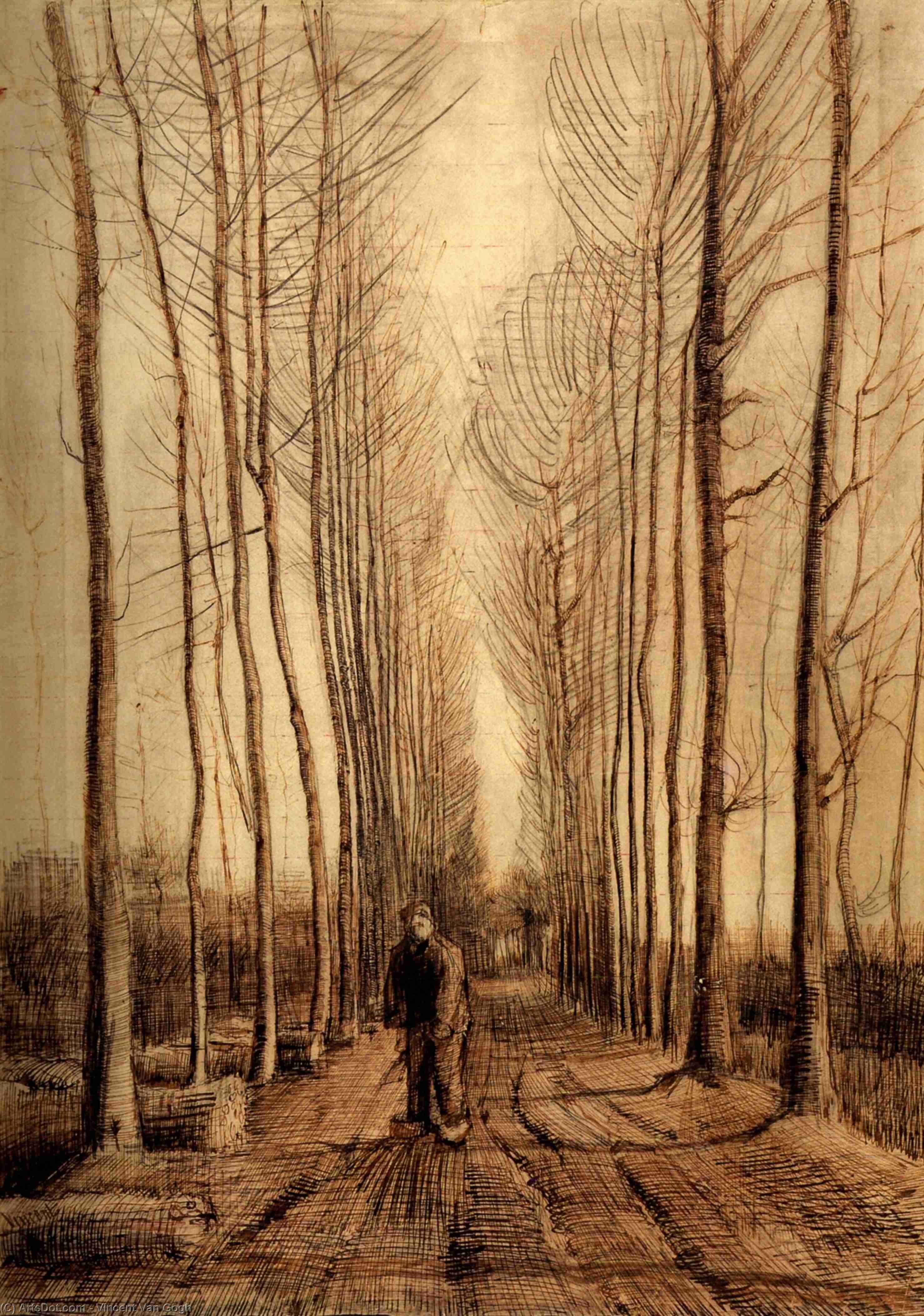 Avenue Of Poplars — Vincent Van Gog