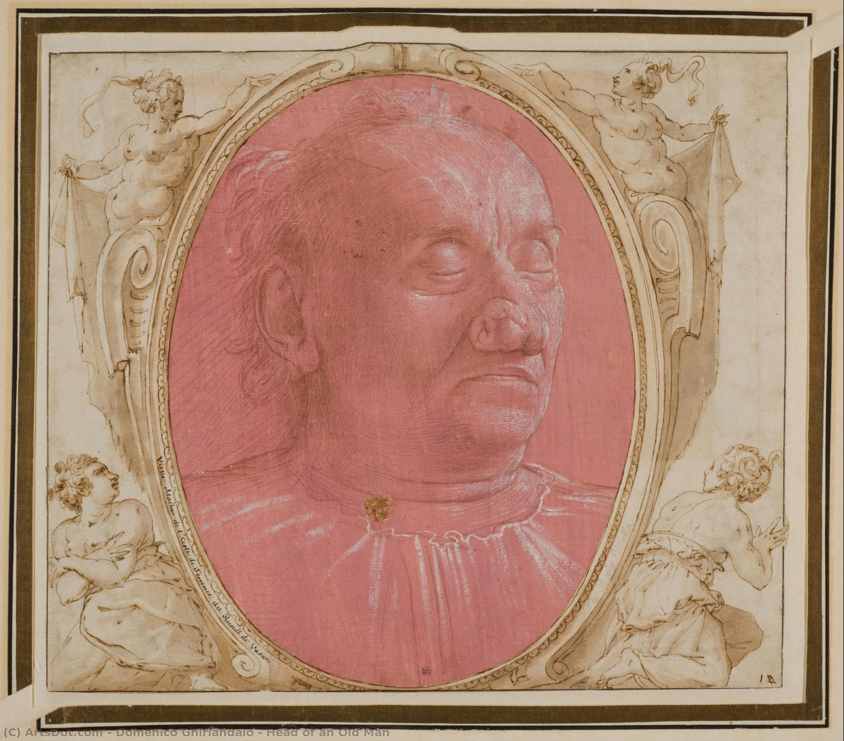 Cabeza De Un Anciano — Domenico Ghirlandaio