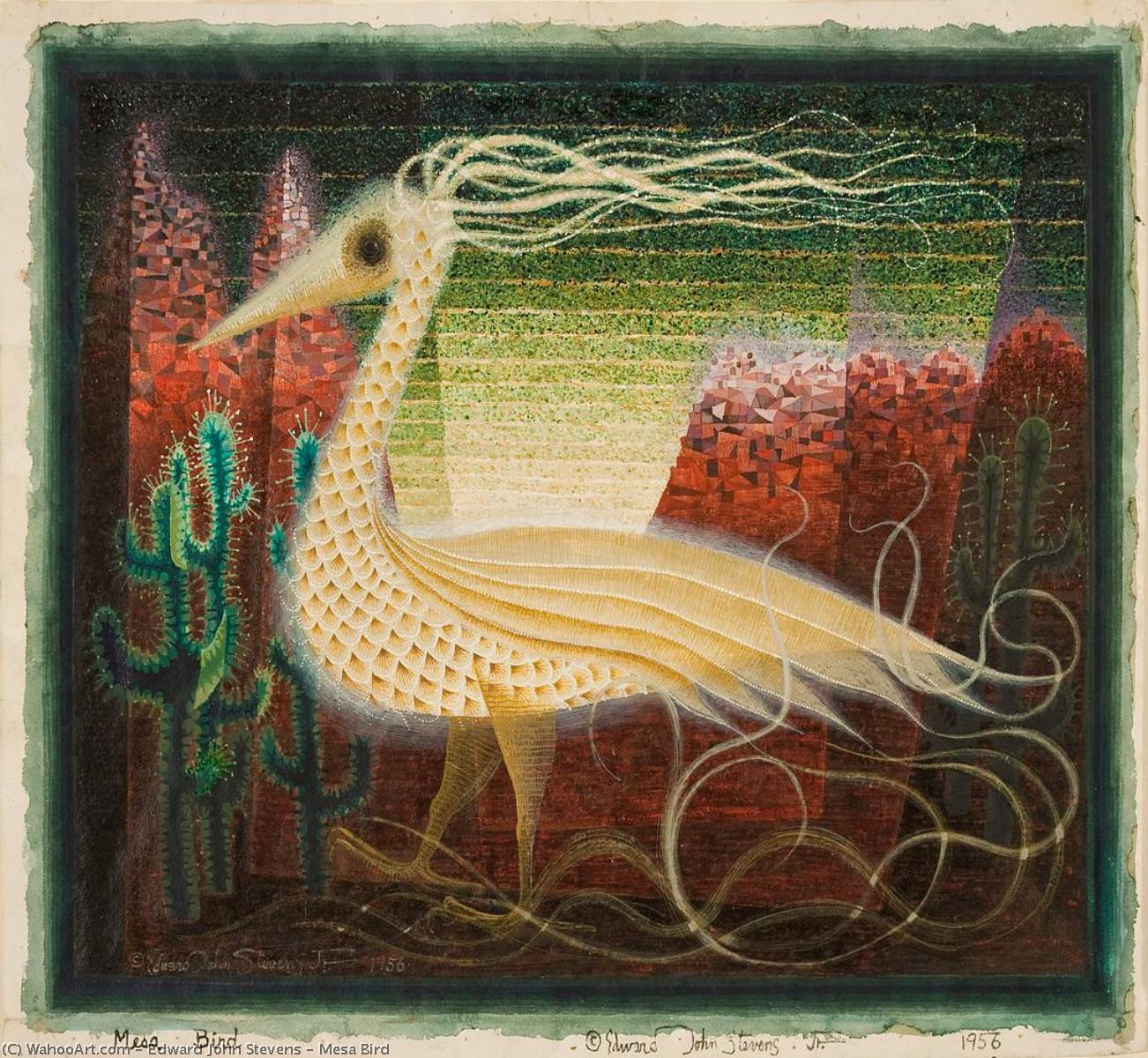 Mesa Bird — Edward John Stevens