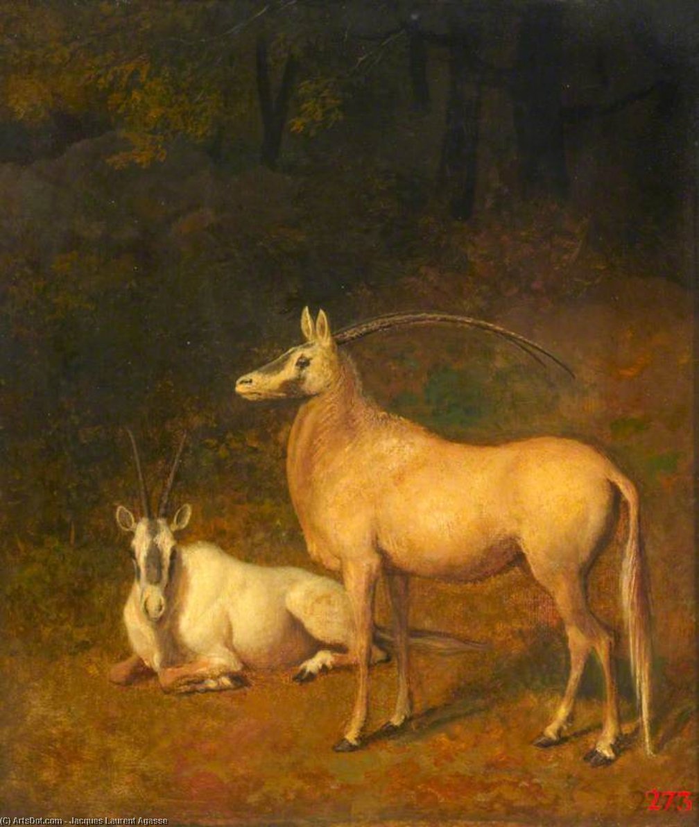 Two White Antelopes — Жак Лоран Агассе