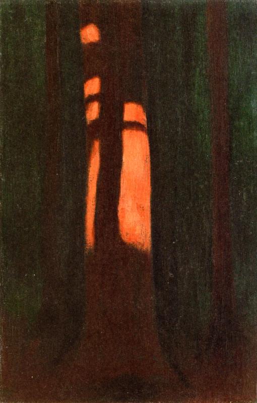Hard Shadow Cast On Trunk — Hans Emmenegger