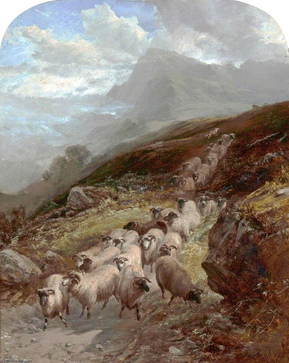 Sheep On A Mountainside — William Watson Ii