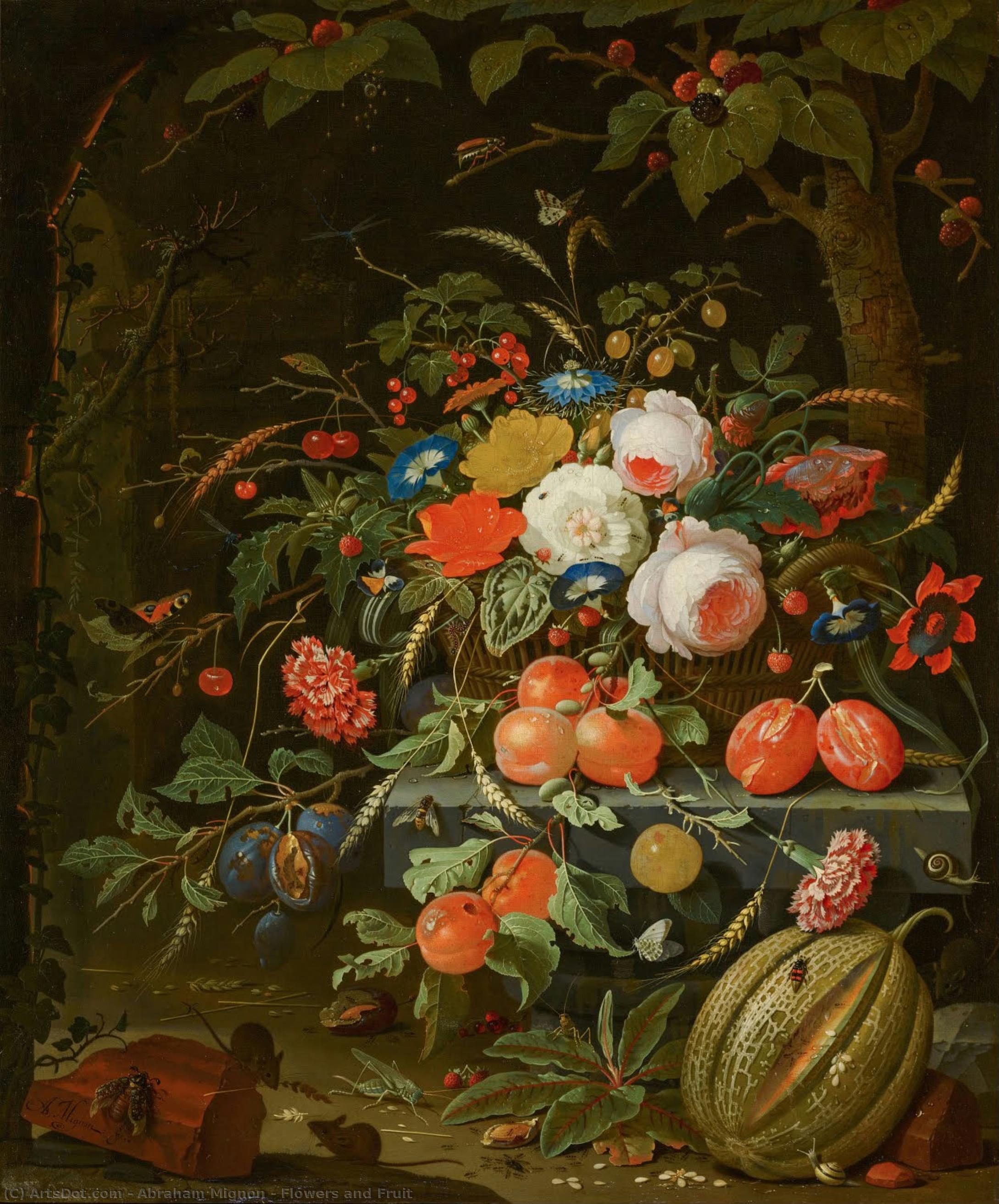 Flowers And Fruit — Abraham Mignon