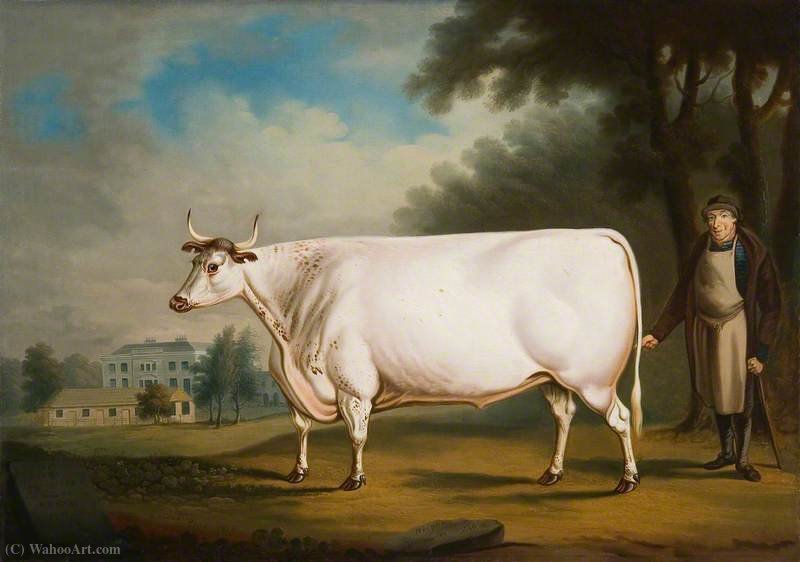 The White Ox Of Nannau — Daniel Clowes