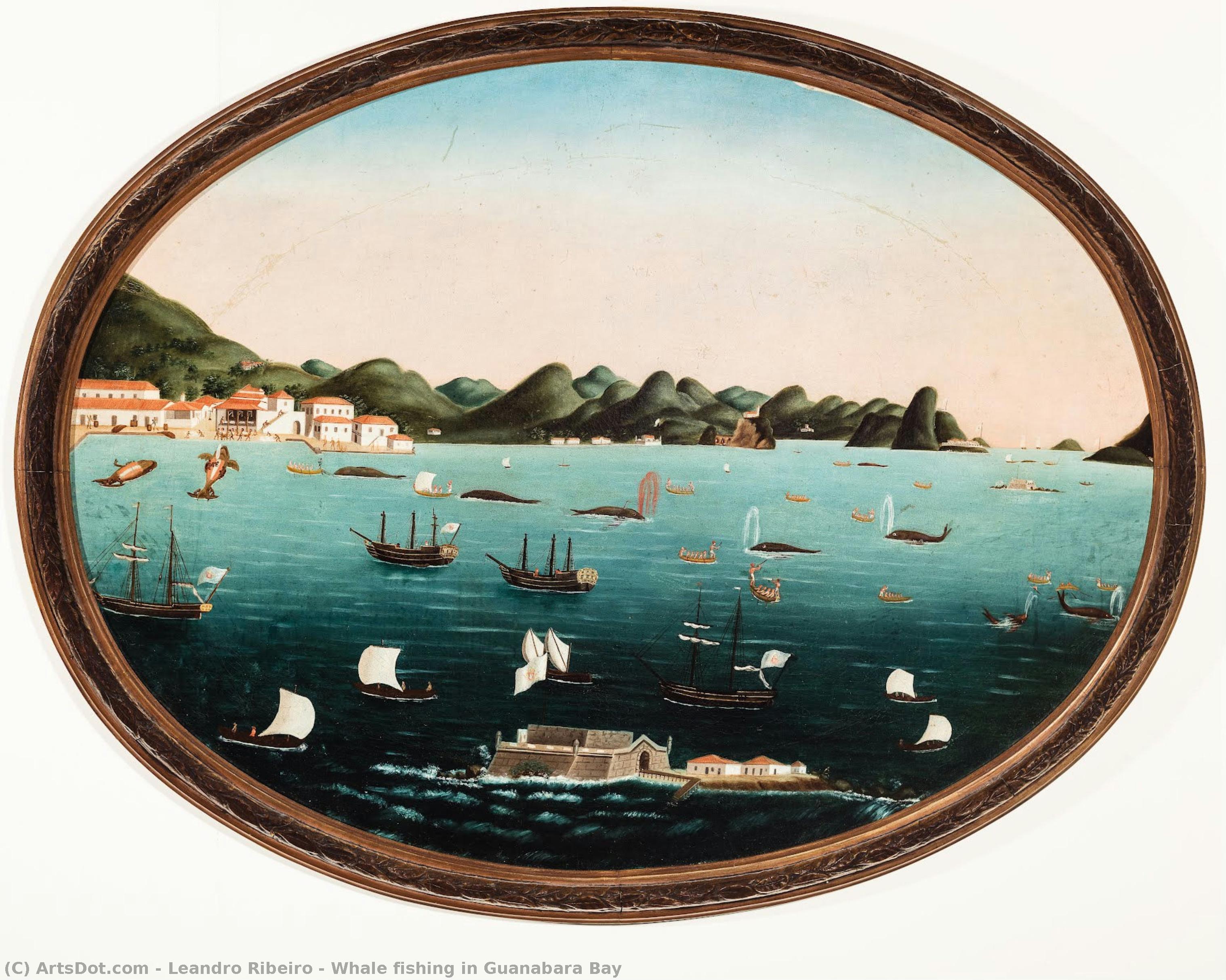Whale Fishing In Guanabara Bay — Leandro Ribeiro