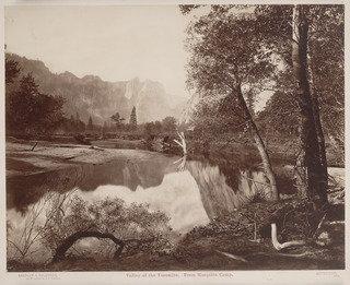 Valley Of The Yosemite From Mosquito Camp — Eadweard J Muybridge