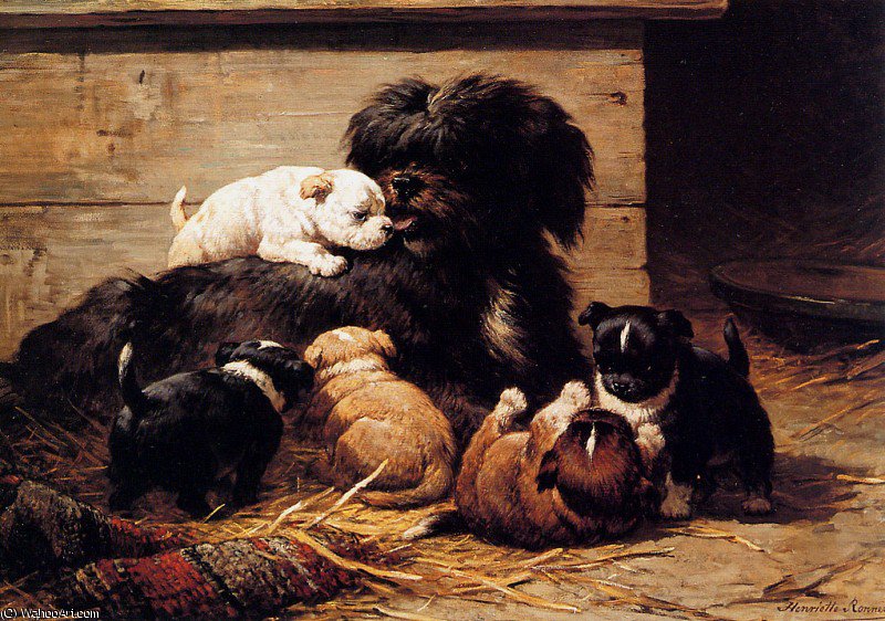 Dog With Puppies Sun — Henriette Ronner Knip