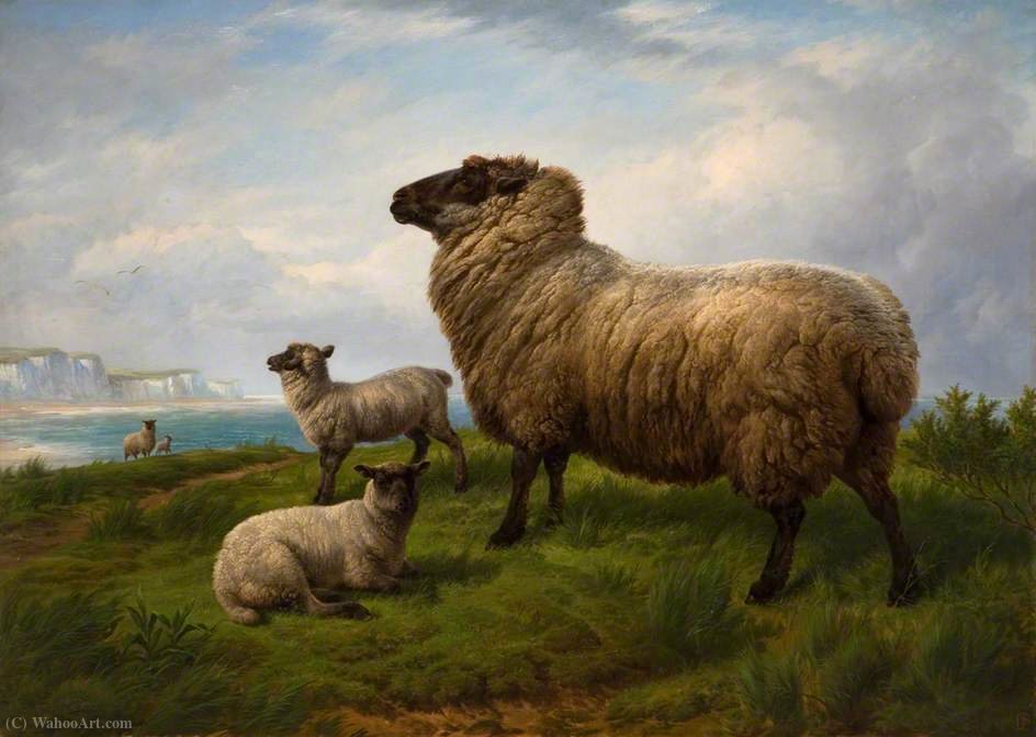 Sheep — Charles Jones