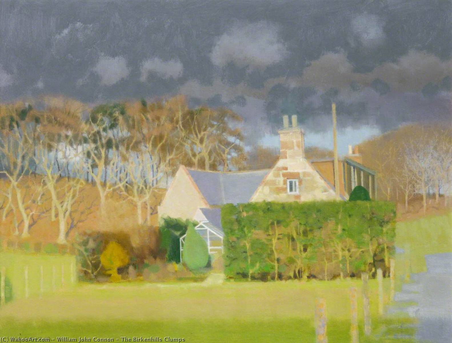 The Birkenhills Clumps — William John Connon