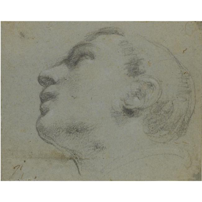 The Head Of A Man Turned To The Left — Guercino