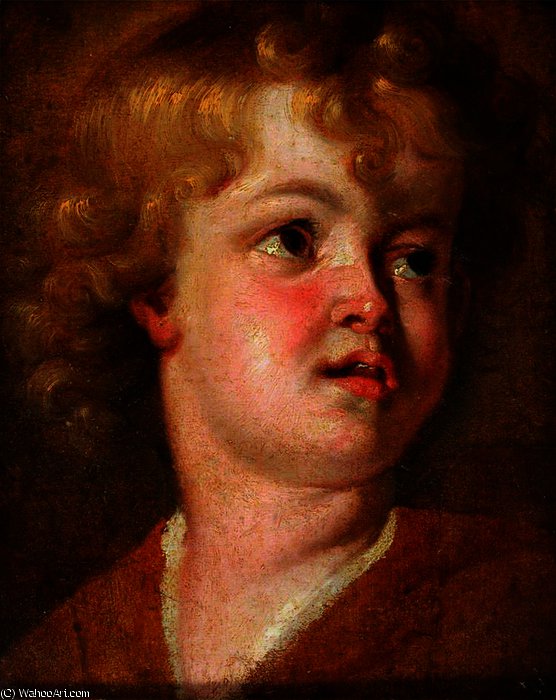 Head Of A Youth — Sir Anthony Van Dyck