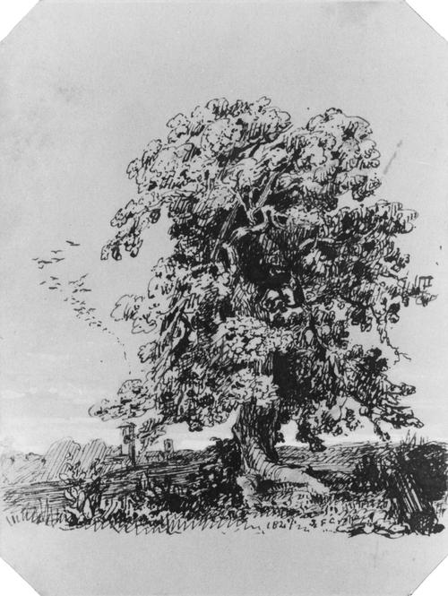 Landscape With Tree And A Village In The Distance — Jasper Francis Cropsey