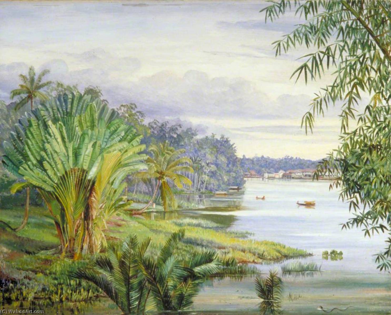 Blick Auf Kuching Und Den Fluss, Sarawak, Borneo — Marianne North