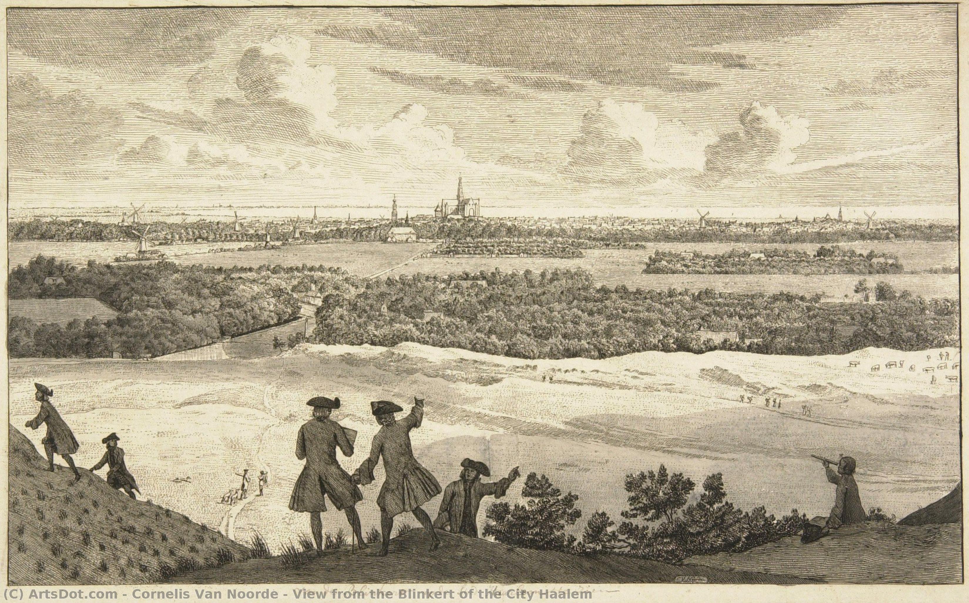 View From The Blinkert Of The City Haalem — Cornelis Van Noorde