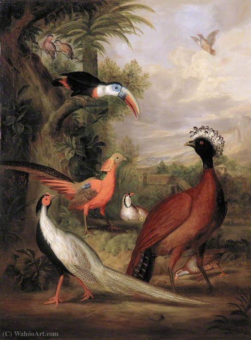 Various Types Of Birds (with A Toucan And A Pheasant) — Tobias Stranover