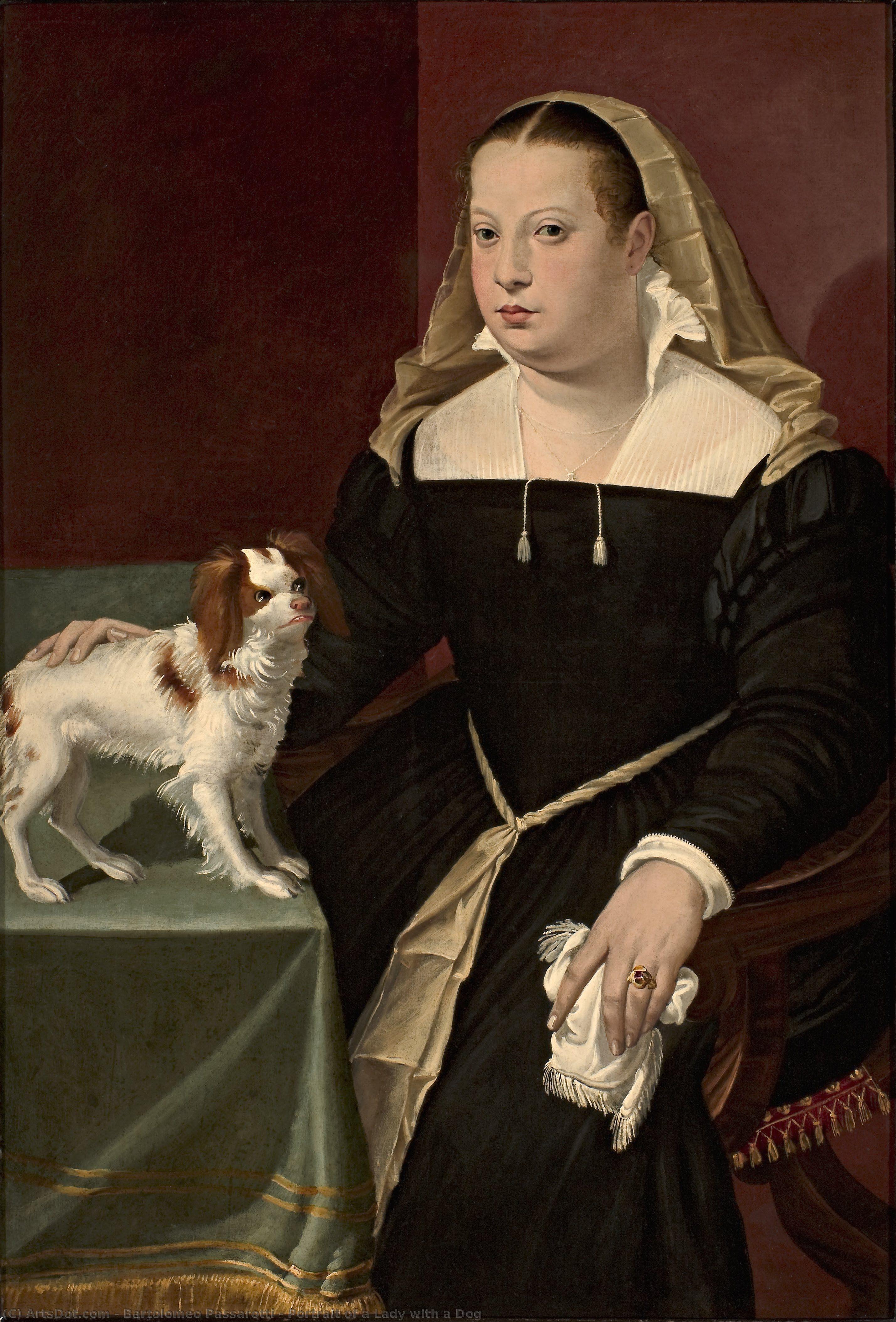 Portrait Of A Lady With A Dog — Bartolomeo Passarotti