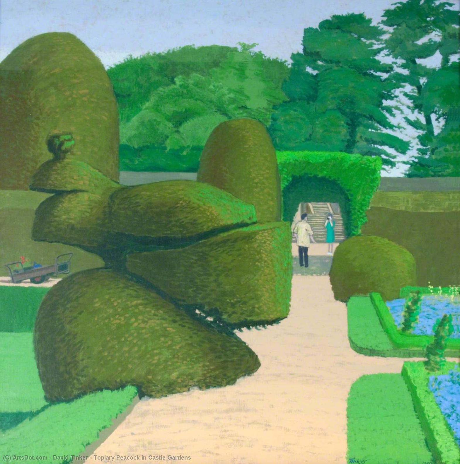 Topiary Peacock In Castle Gardens — David Tinker