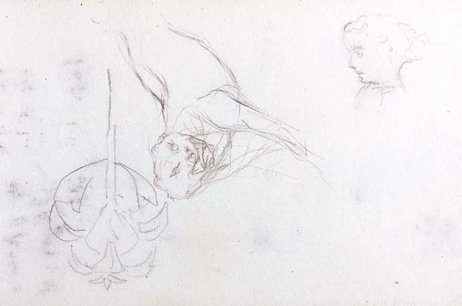 Flower, Dog, Child's Face — John La Farge